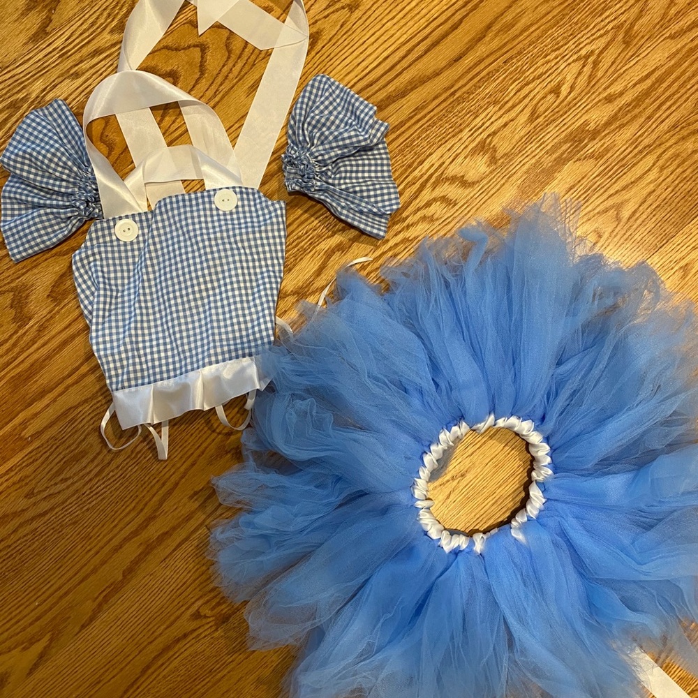 Handmade Dorothy costume